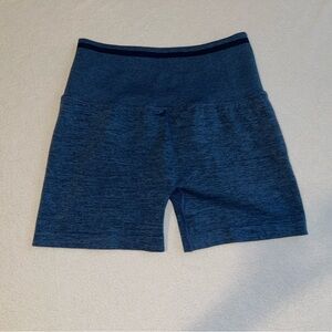 NWOT BuffBunny Medium BBL Seamless Shorts in Baked Blue